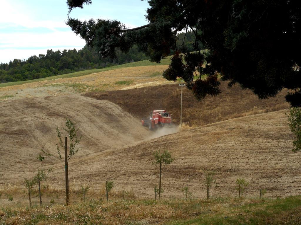 Agriturismo Santa Bruna Volterra Eksteriør billede